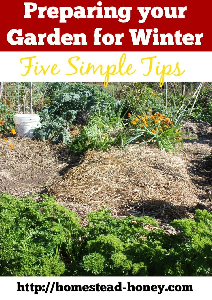 Preparing Your Home And Garden For Drier Weather