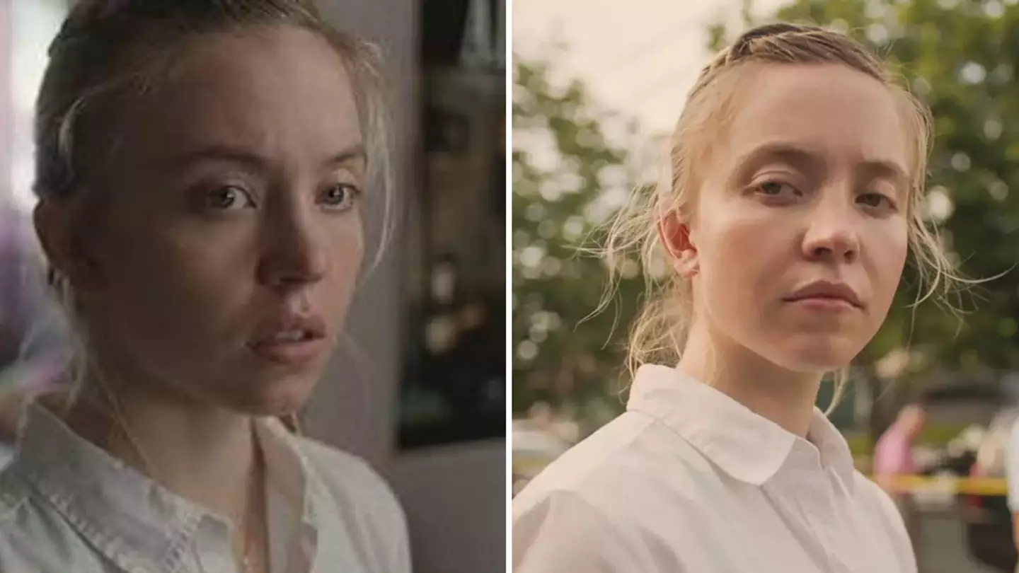 Priča S Reddita Postaje Film Sa Sydney Sweeney Priča S Reddita Postaje Film Sa Sydney Sweeney