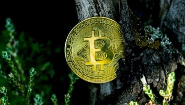 ProShares Launches XRP ETFs: No Spot Market, But Price Impact? ProShares Launches XRP ETFs: No Spot Market, But Price Impact?