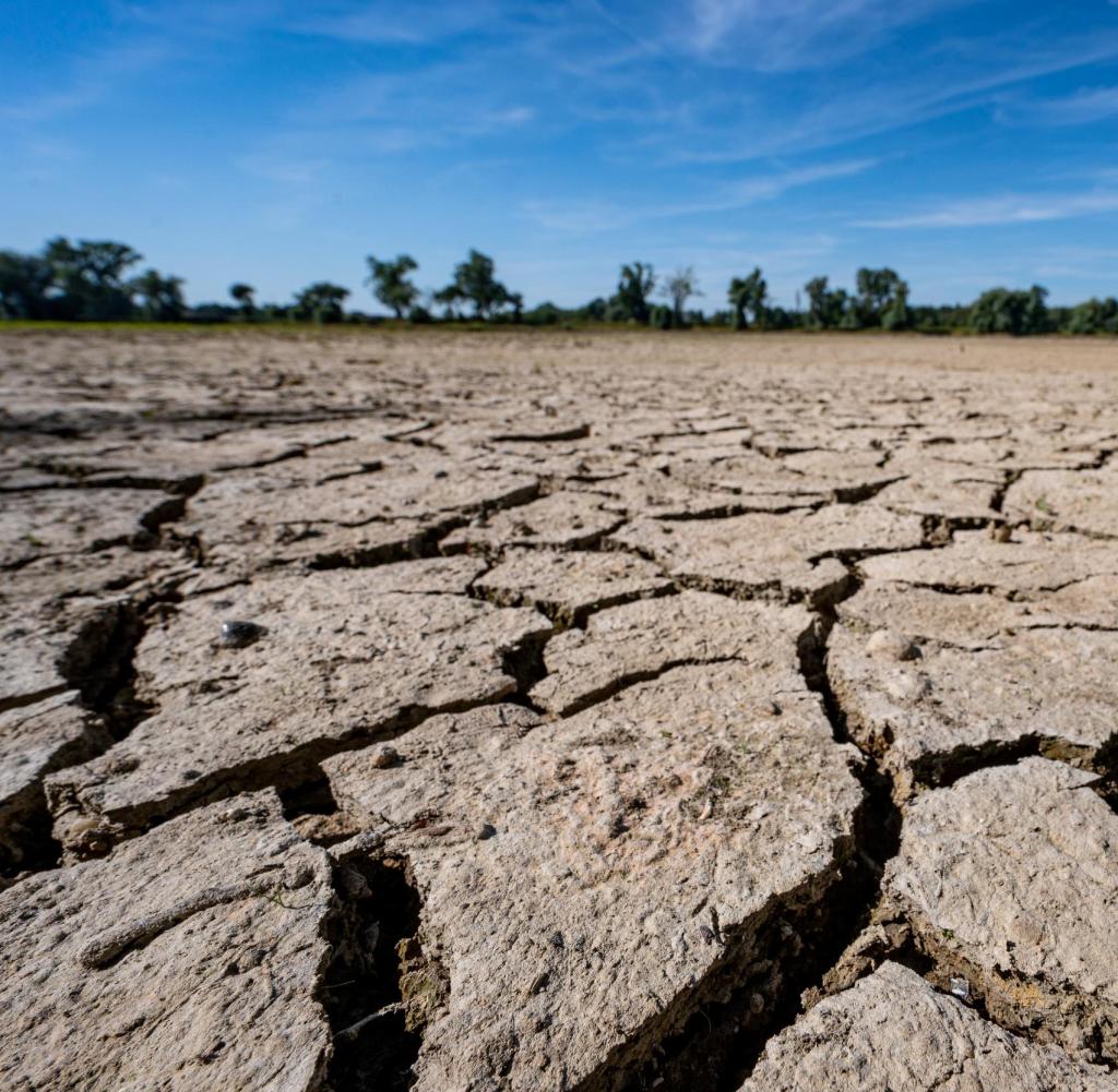 Punktueller Regen: Trockenheit In Deutschland Noch Nicht Überwunden Punktueller Regen: Trockenheit In Deutschland Noch Nicht Überwunden