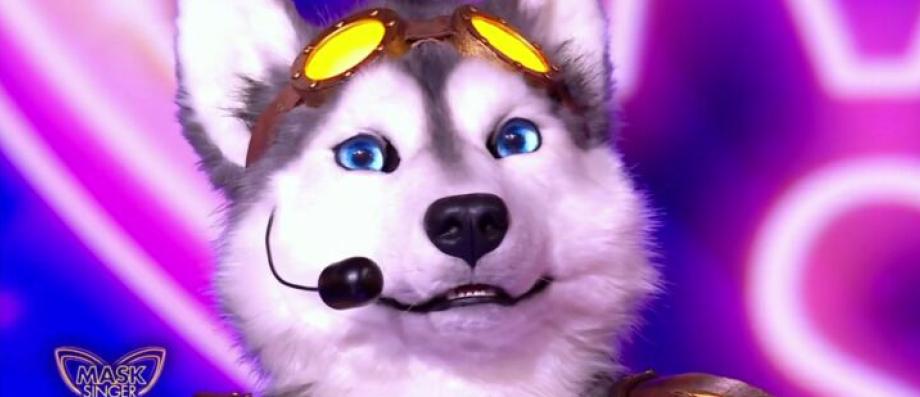 Qui Se Cache Sous Le Costume D'Autruche Dans Mask Singer 2025 ? Qui Se Cache Sous Le Costume D'Autruche Dans Mask Singer 2025 ?