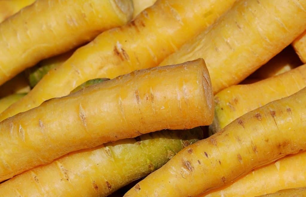 Quiz Histoire, Gastronomie & Culture De Loire-Atlantique : À Quel Point Connaissez-vous Le Département ? Quiz Histoire, Gastronomie & Culture De Loire-Atlantique : À Quel Point Connaissez-vous Le Département ?