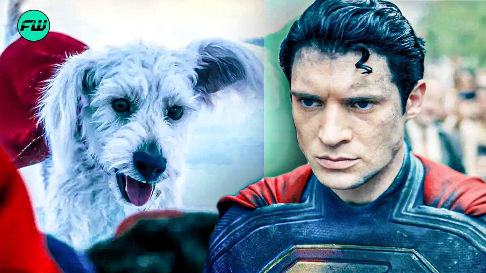 Ranking The Best Krypto Stories: A Definitive List Ranking The Best Krypto Stories: A Definitive List