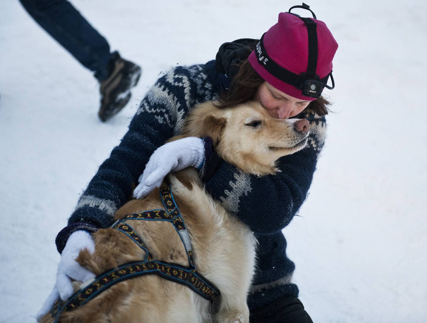 Reaching Nome: The Journeys Of Seven First-Time Iditarod Mushers Reaching Nome: The Journeys Of Seven First-Time Iditarod Mushers