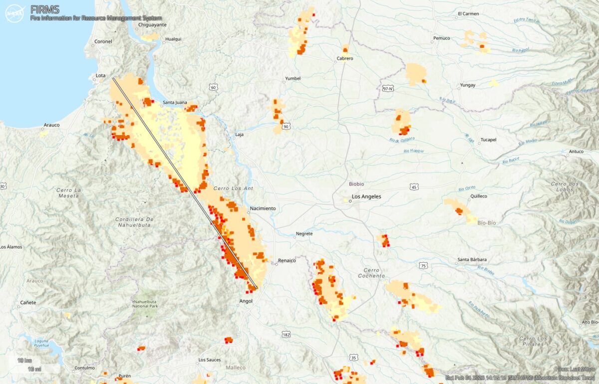 Record-Breaking Forest Loss: Wildfires Intensify Global Deforestation Record-Breaking Forest Loss: Wildfires Intensify Global Deforestation