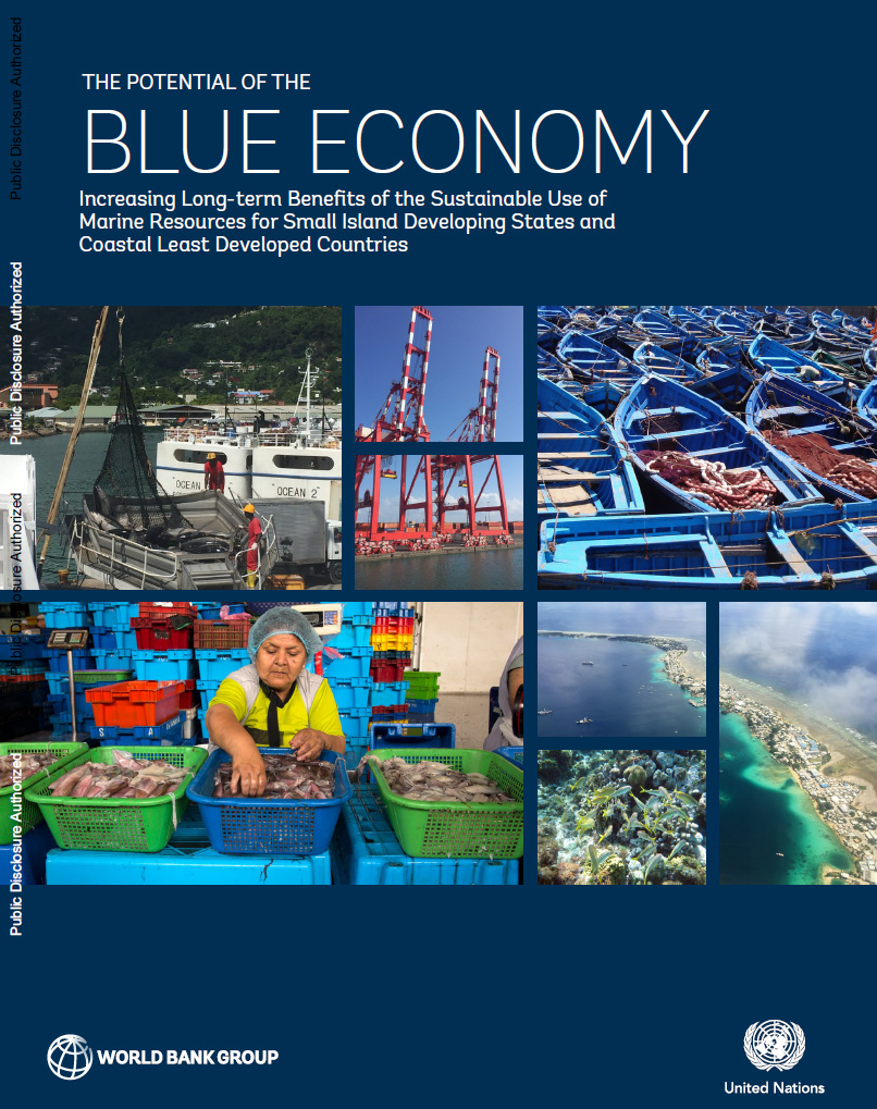 Resilience Building In Least Developed Countries: Strategies For Sustainable Transformation Resilience Building In Least Developed Countries: Strategies For Sustainable Transformation