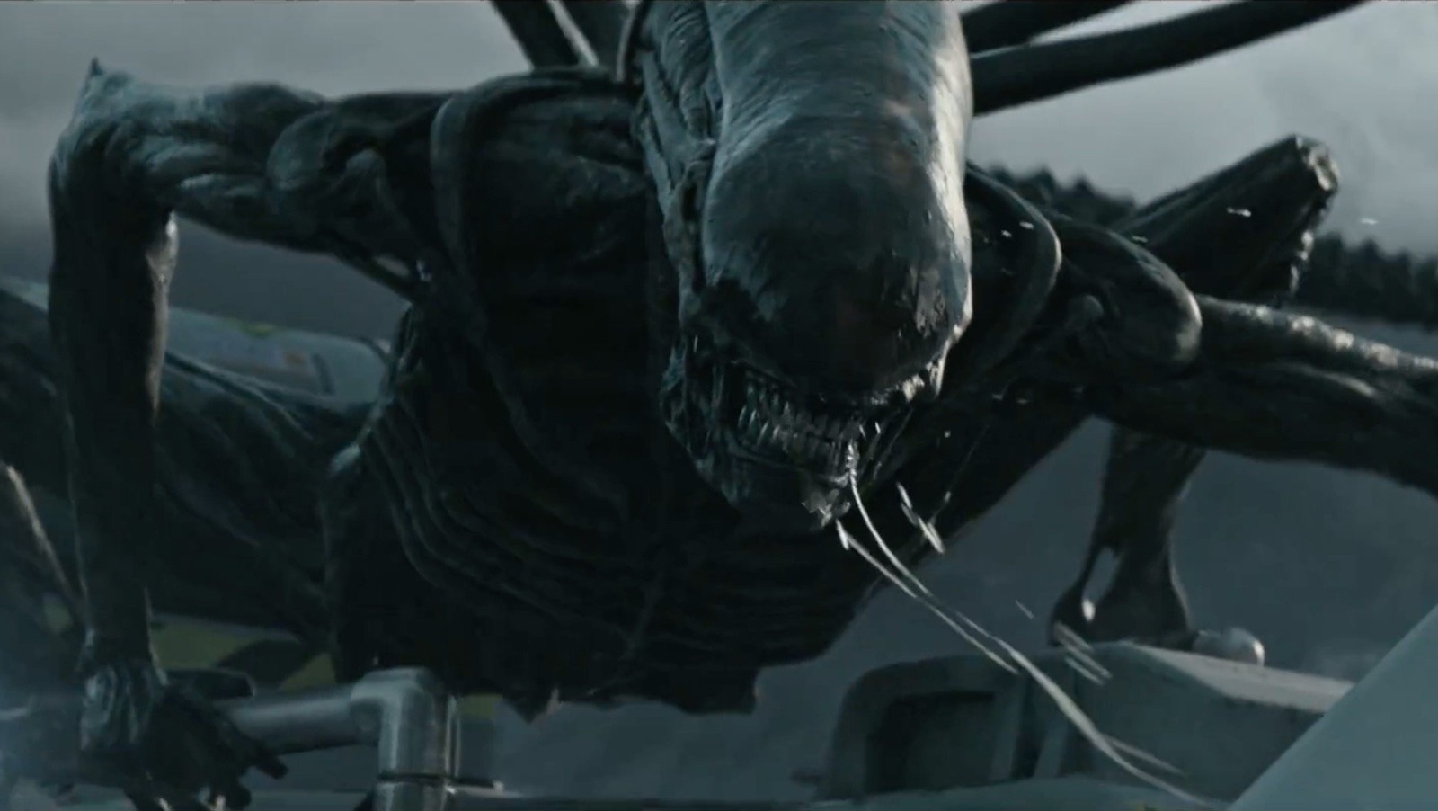 Ridley Scott's Alien: A 13-Year Retrospective And The Franchise's Evolution Ridley Scott's Alien: A 13-Year Retrospective And The Franchise's Evolution