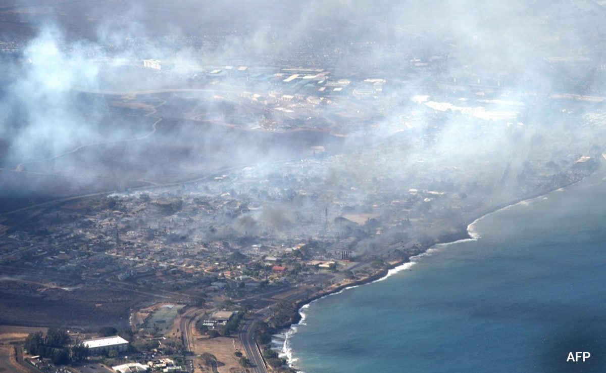 Rising Global Forest Loss: The Devastating Impact Of Wildfires Rising Global Forest Loss: The Devastating Impact Of Wildfires