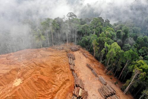Rising Temperatures, Rising Losses: Global Forest Fires And Deforestation Rising Temperatures, Rising Losses: Global Forest Fires And Deforestation