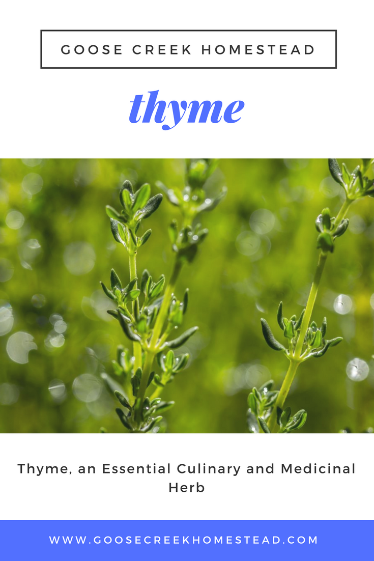 Rosemary & Thyme: A Culinary Guide To Herb Gardening And Cooking Rosemary & Thyme: A Culinary Guide To Herb Gardening And Cooking