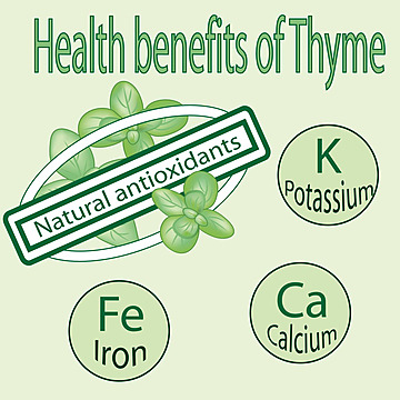 Rosemary & Thyme: Benefits Beyond The Kitchen Rosemary & Thyme: Benefits Beyond The Kitchen