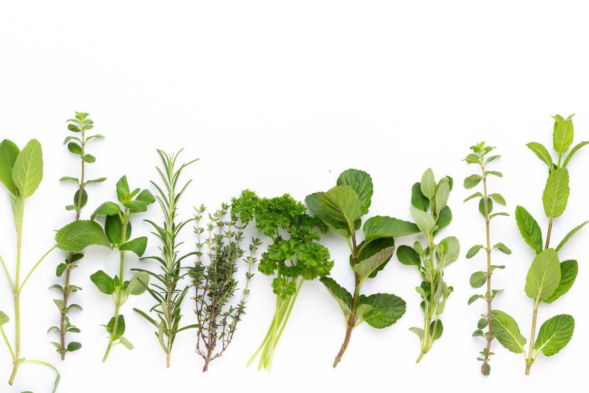 Rosemary & Thyme: Blending Herbs For Flavor And Health Benefits Rosemary & Thyme: Blending Herbs For Flavor And Health Benefits