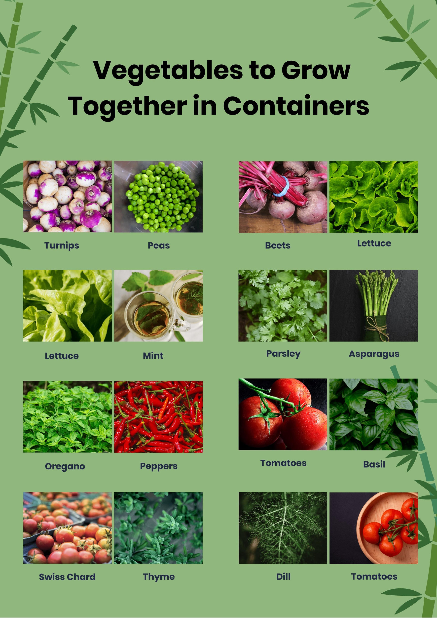 Rosemary & Thyme: Companion Planting And Pest Control Rosemary & Thyme: Companion Planting And Pest Control
