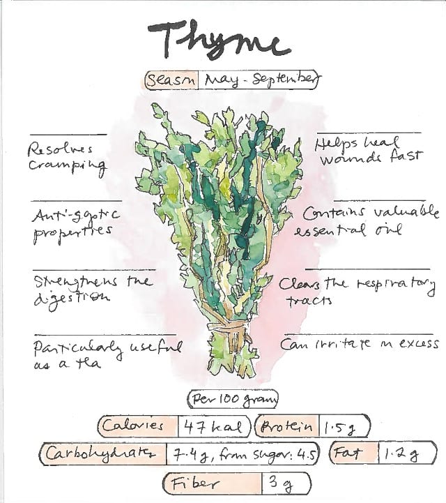 Rosemary & Thyme: Health Benefits And Culinary Applications Rosemary & Thyme: Health Benefits And Culinary Applications