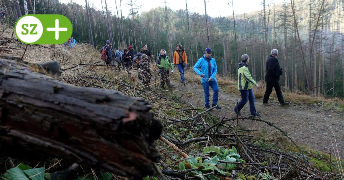 Sächsische Schweiz: Verbesserte Waldbrandprävention Durch Neue Sensortechnologie Von Sachsenforst Sächsische Schweiz: Verbesserte Waldbrandprävention Durch Neue Sensortechnologie Von Sachsenforst