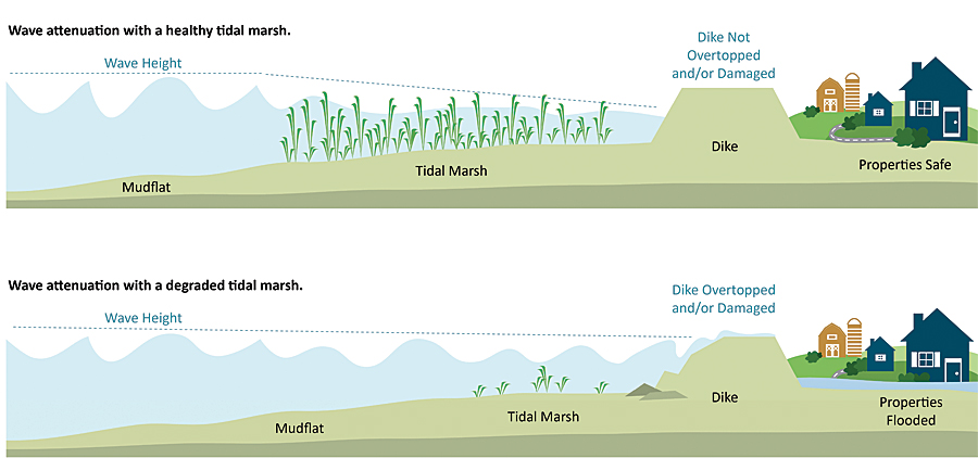 Sea Level Rise: Urgent Action Needed To Protect Coastal Regions Sea Level Rise: Urgent Action Needed To Protect Coastal Regions