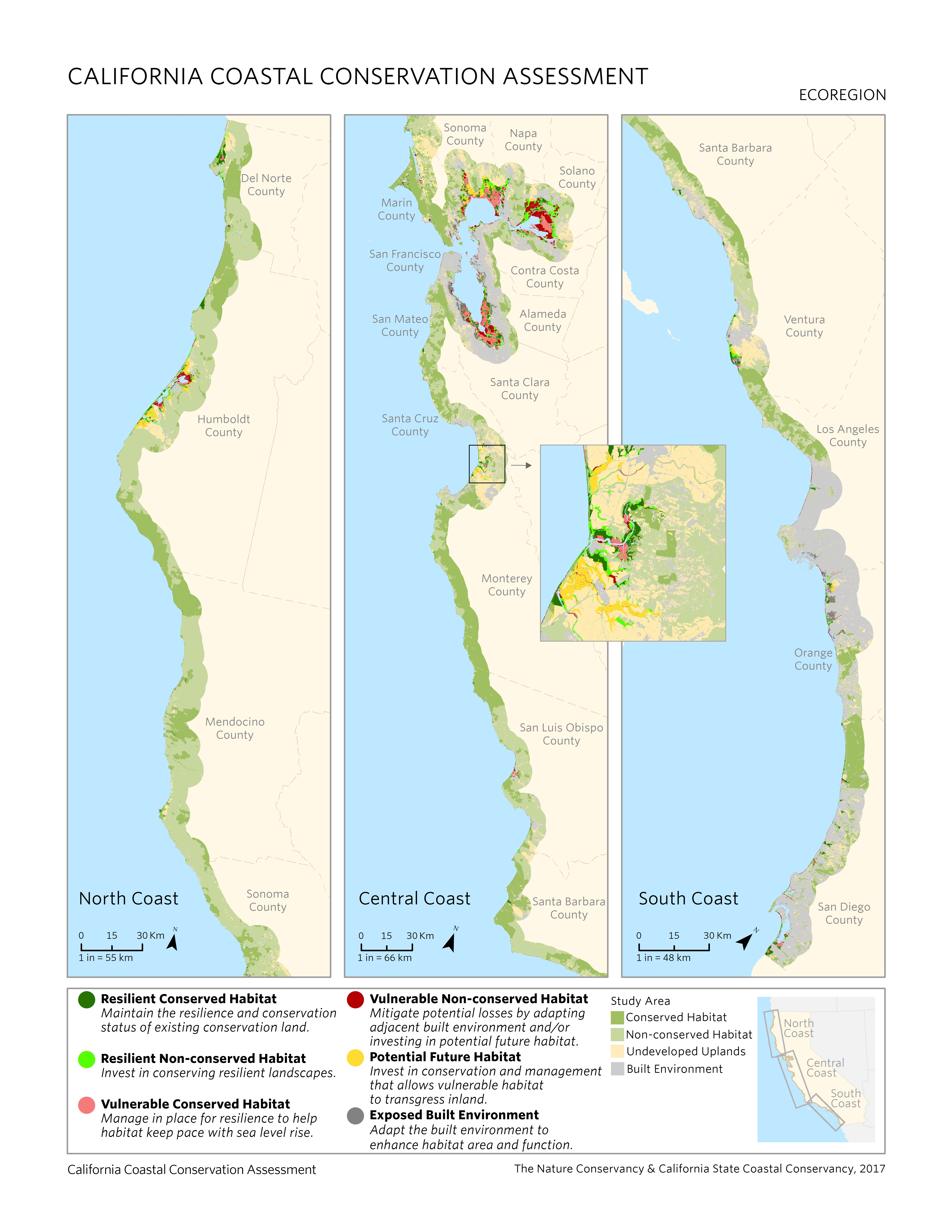 Seagrass Planting: Rebuilding Scotland's Coastal Habitats Seagrass Planting: Rebuilding Scotland's Coastal Habitats