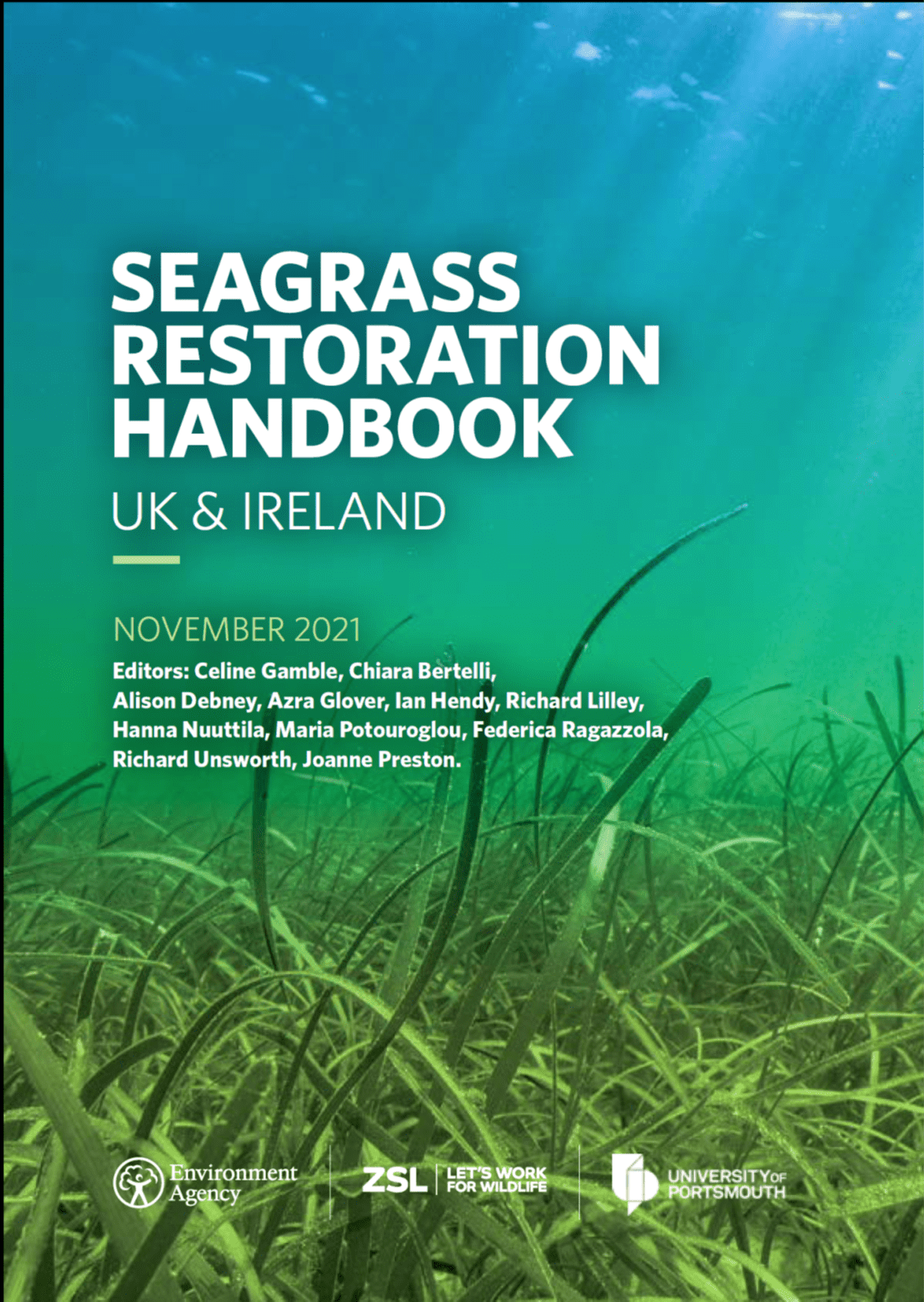 Seagrass Restoration Bids: A Step Towards A Healthier Scottish Coastline Seagrass Restoration Bids: A Step Towards A Healthier Scottish Coastline
