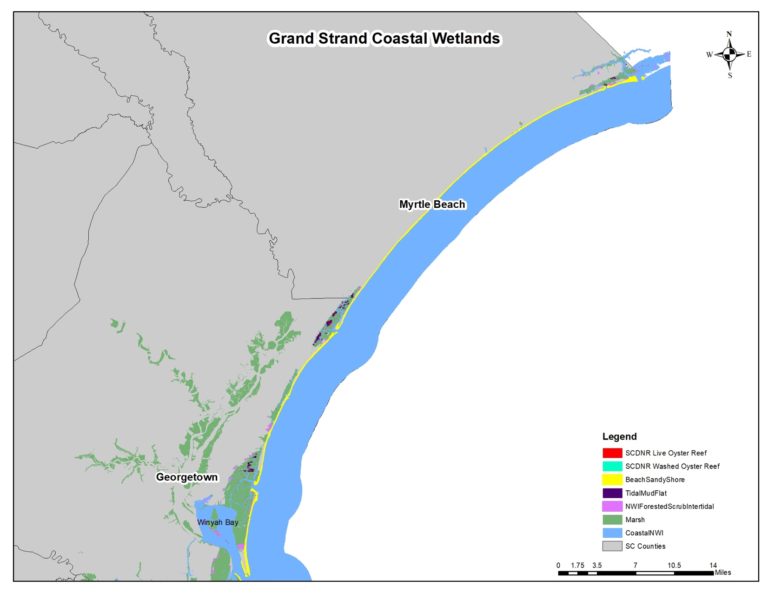 Seagrass Restoration Bids: Revitalizing Scotland's Coastal Habitats Seagrass Restoration Bids: Revitalizing Scotland's Coastal Habitats