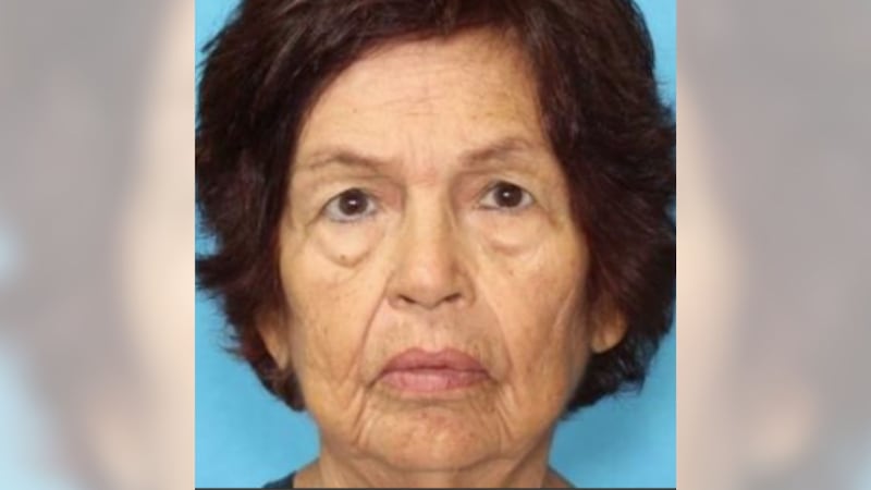 Search Continues For Missing 79-Year-Old Woman In Portola Valley Preserve Search Continues For Missing 79-Year-Old Woman In Portola Valley Preserve