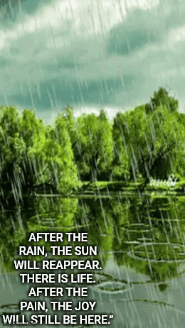 Seattle's Rainy Weekend Forecast Seattle's Rainy Weekend Forecast