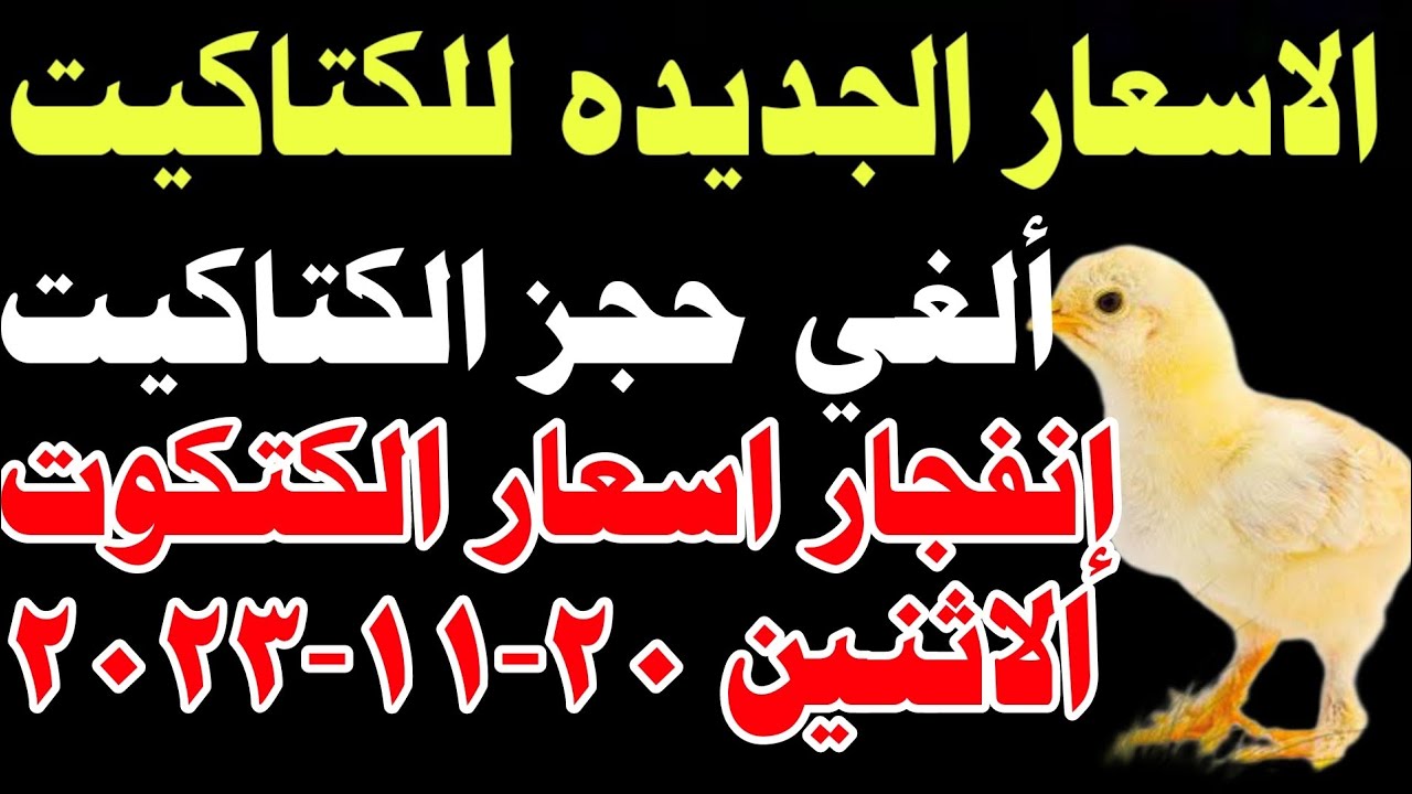 سعر الكتكوت اليوم في مصر (الاثنين 14-4-2025) سعر الكتكوت اليوم في مصر (الاثنين 14-4-2025)