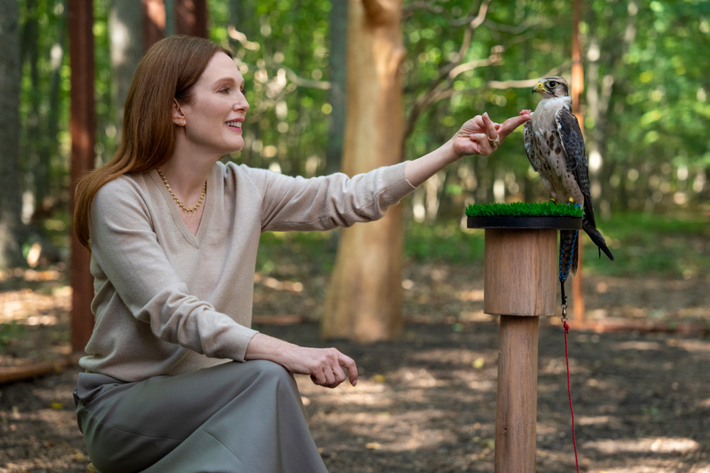 Siren Review: Julianne Moore, Meghann Fahy, & Milly Alcock Deliver Beachy Thrills Siren Review: Julianne Moore, Meghann Fahy, & Milly Alcock Deliver Beachy Thrills