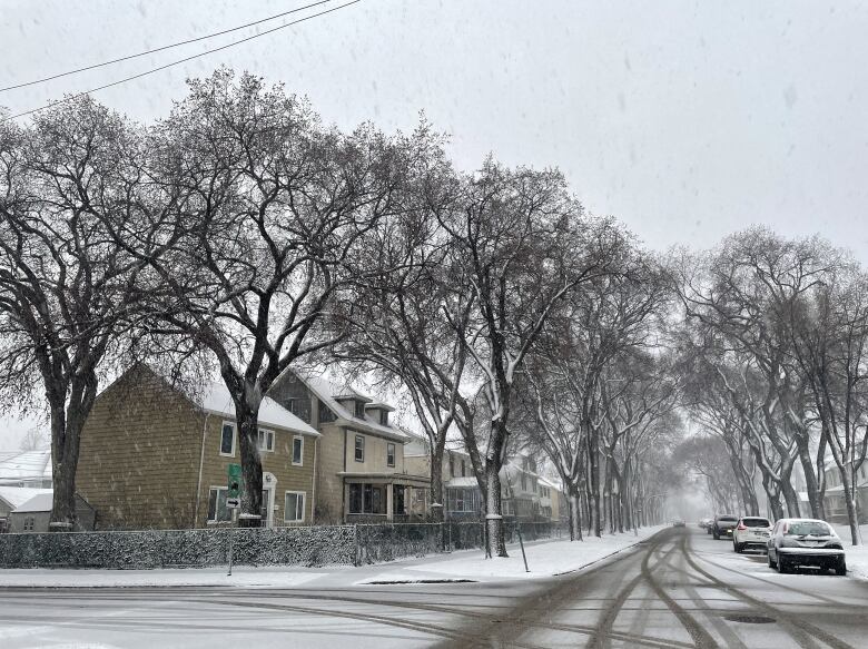 Snowfall Warning Issued For Parts Of Western Manitoba Snowfall Warning Issued For Parts Of Western Manitoba