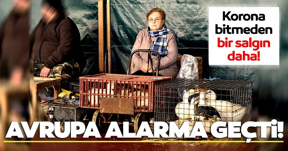 Son Dakika: Avrupa İş Birliği Konusunda Önemli Açıklamalar Son Dakika: Avrupa İş Birliği Konusunda Önemli Açıklamalar