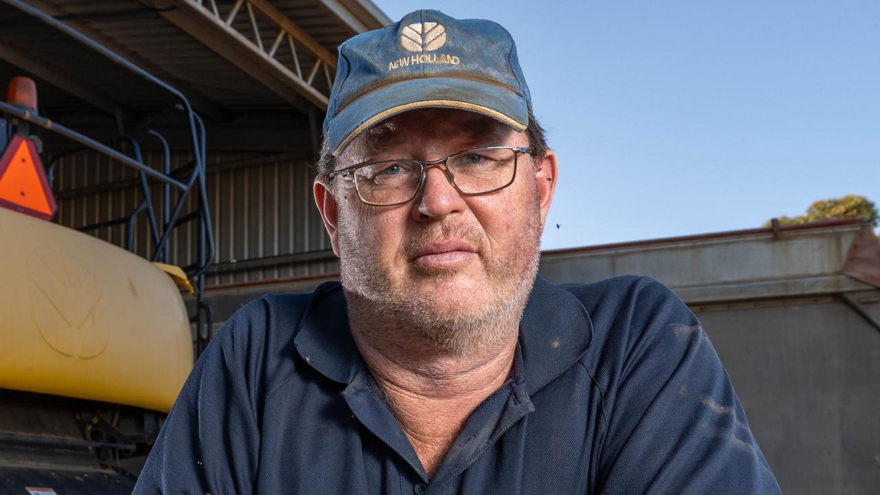 South Australian Farmers Seek Support As Kangaroo Numbers Worsen Drought South Australian Farmers Seek Support As Kangaroo Numbers Worsen Drought