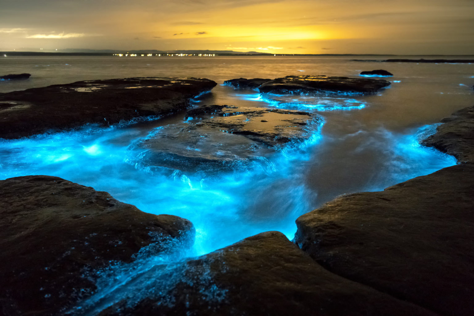 Southern California Bioluminescence: Peak Seasons & Best Beaches Southern California Bioluminescence: Peak Seasons & Best Beaches