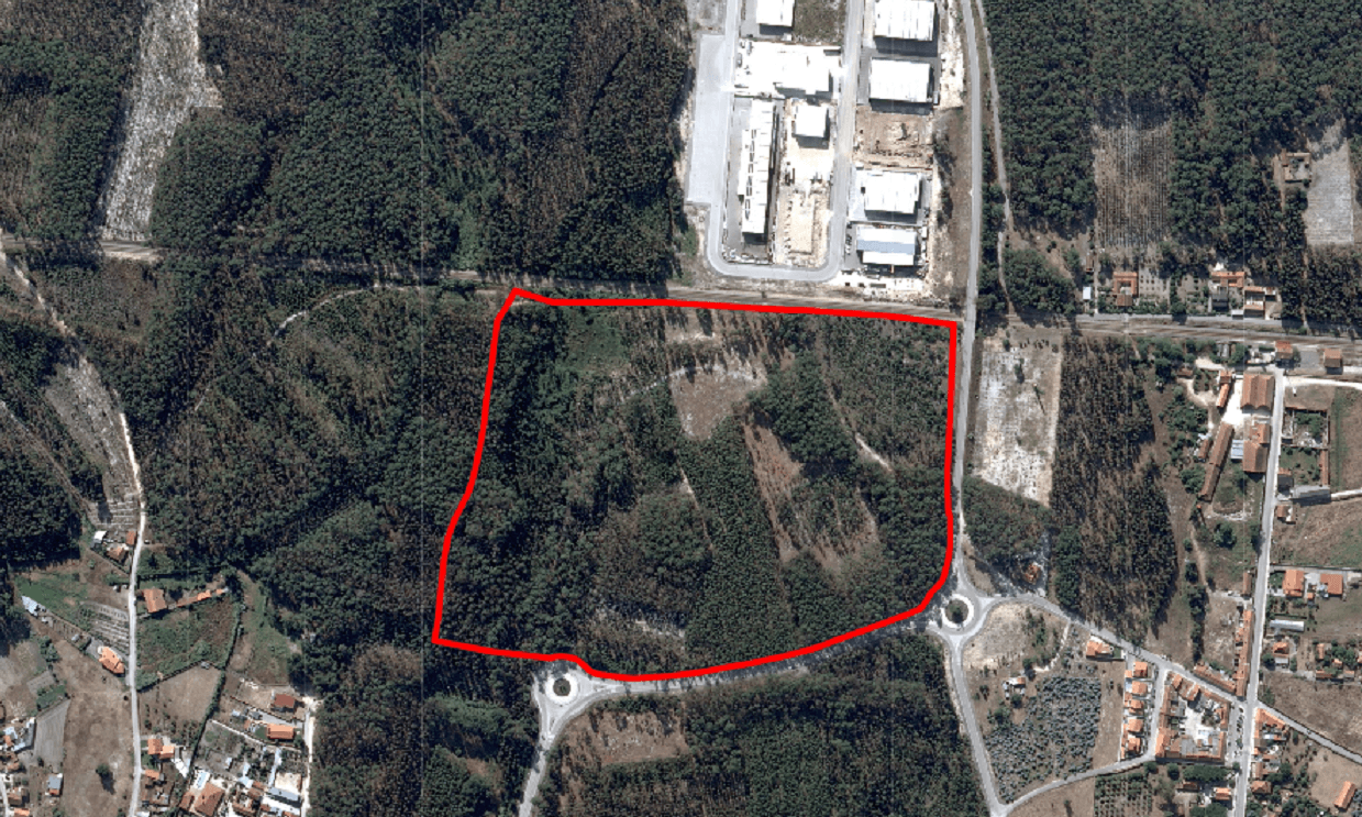 SpaceX E Musk: Cidade No Texas Acolhe Base Da Empresa SpaceX E Musk: Cidade No Texas Acolhe Base Da Empresa