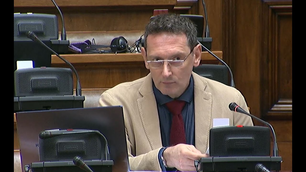 Спор Око Изјава Маринике Тепић: Национални Савет Рома И Оптужбе За Говор Мржње Спор Око Изјава Маринике Тепић: Национални Савет Рома И Оптужбе За Говор Мржње