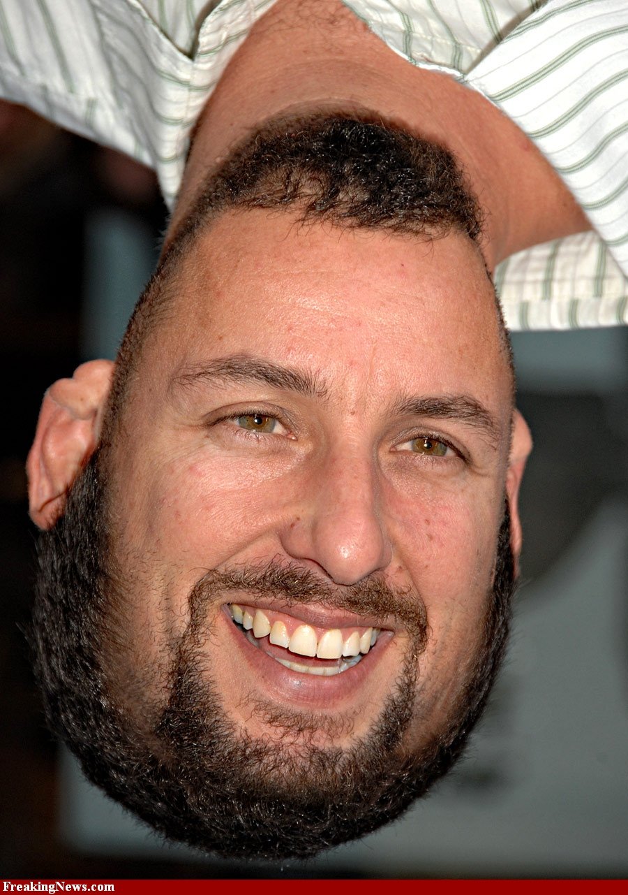 Spot The Easter Egg: A Guide To Adam Sandler's Film Recurring Theme Spot The Easter Egg: A Guide To Adam Sandler's Film Recurring Theme