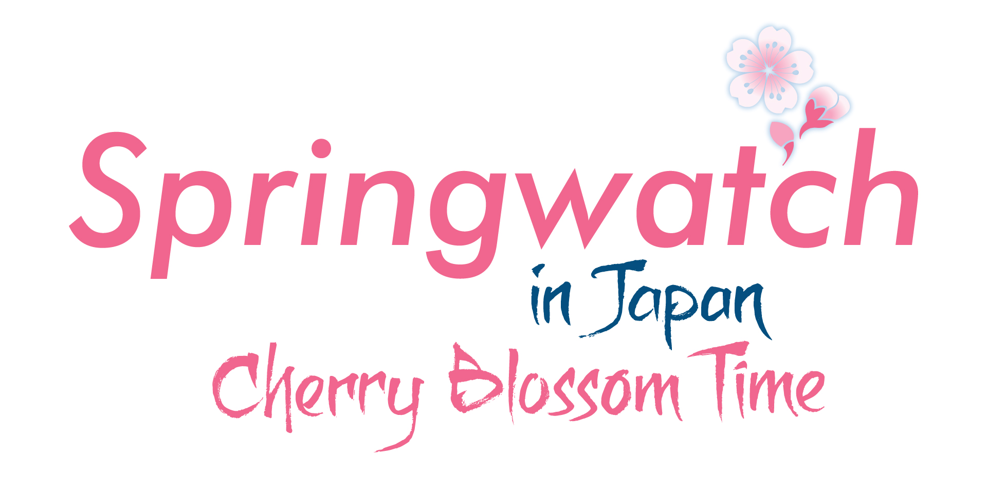 Springwatch In Japan: Where And When To See Cherry Blossoms Springwatch In Japan: Where And When To See Cherry Blossoms