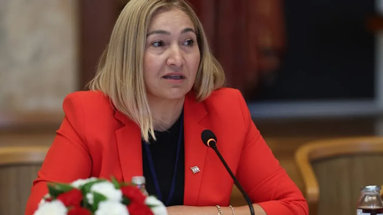 Stefanos Stefanu: Kıbrıs Sorununda Önemli Bir Rol Stefanos Stefanu: Kıbrıs Sorununda Önemli Bir Rol