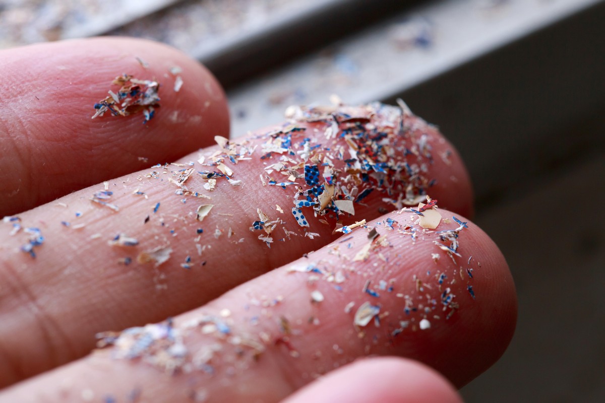 Studio Sulla Distribuzione Delle Microplastiche Nelle Acque Studio Sulla Distribuzione Delle Microplastiche Nelle Acque