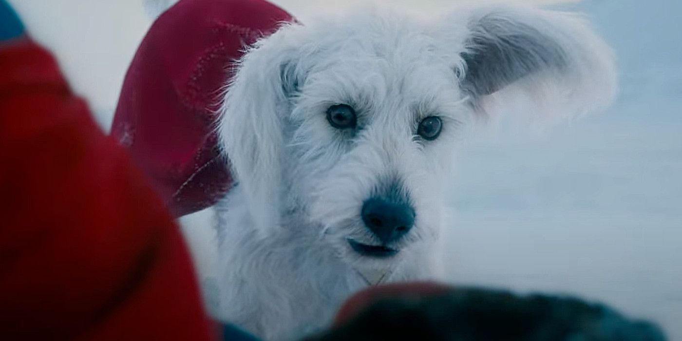 Superman And Krypto: New Footage Reveals A Loyal Bond Superman And Krypto: New Footage Reveals A Loyal Bond