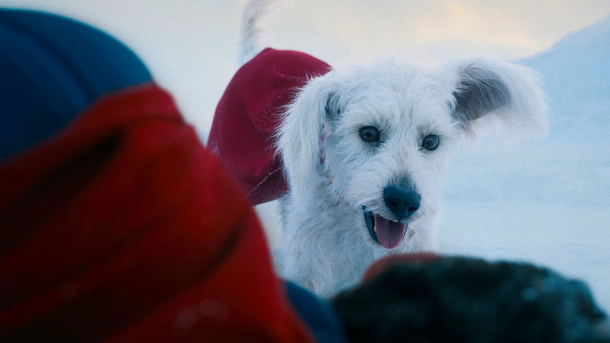 Superman And Krypto: Next Week's Summer Of Superman Special Superman And Krypto: Next Week's Summer Of Superman Special
