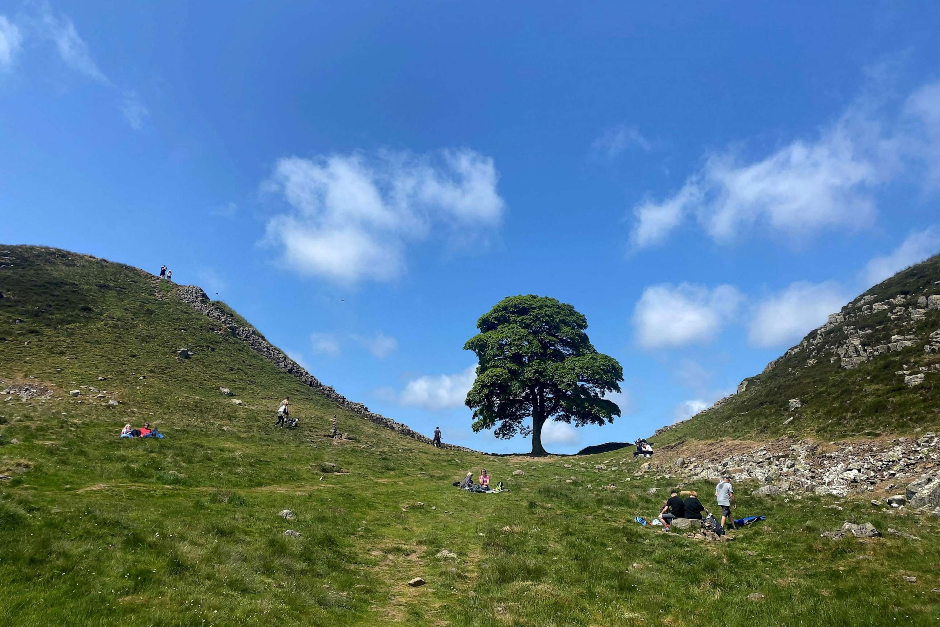 Sycamore Gap Tree Vandalism: Two Men Found Guilty Sycamore Gap Tree Vandalism: Two Men Found Guilty