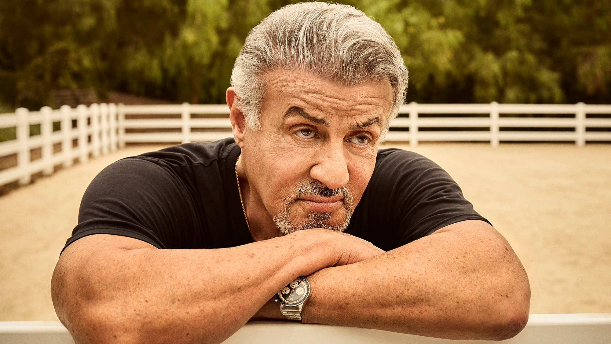 Sylvester Stallone's Directing Career: A Focus On His One Unstarred Film Sylvester Stallone's Directing Career: A Focus On His One Unstarred Film