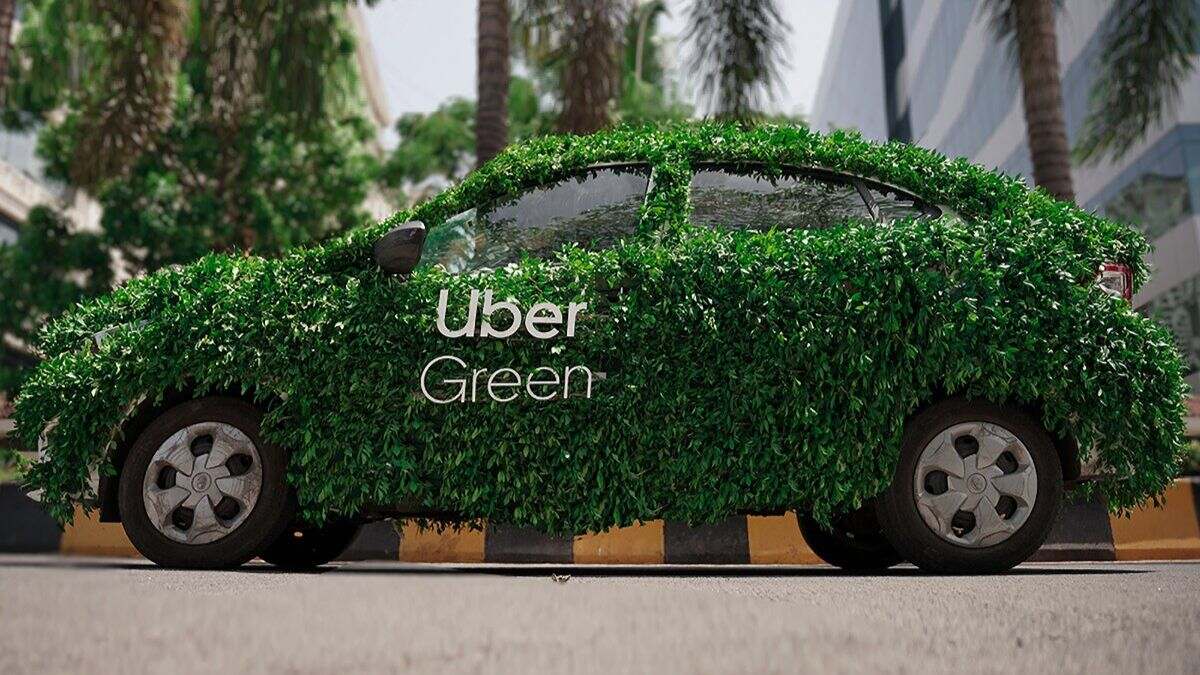 Taking Your Pet On Uber In Mumbai: A Step-by-Step Guide Taking Your Pet On Uber In Mumbai: A Step-by-Step Guide