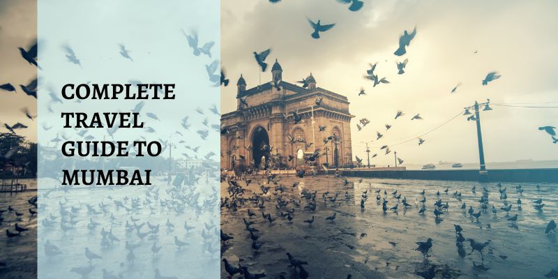 Taking Your Pet On Uber In Mumbai: Complete Guide Taking Your Pet On Uber In Mumbai: Complete Guide