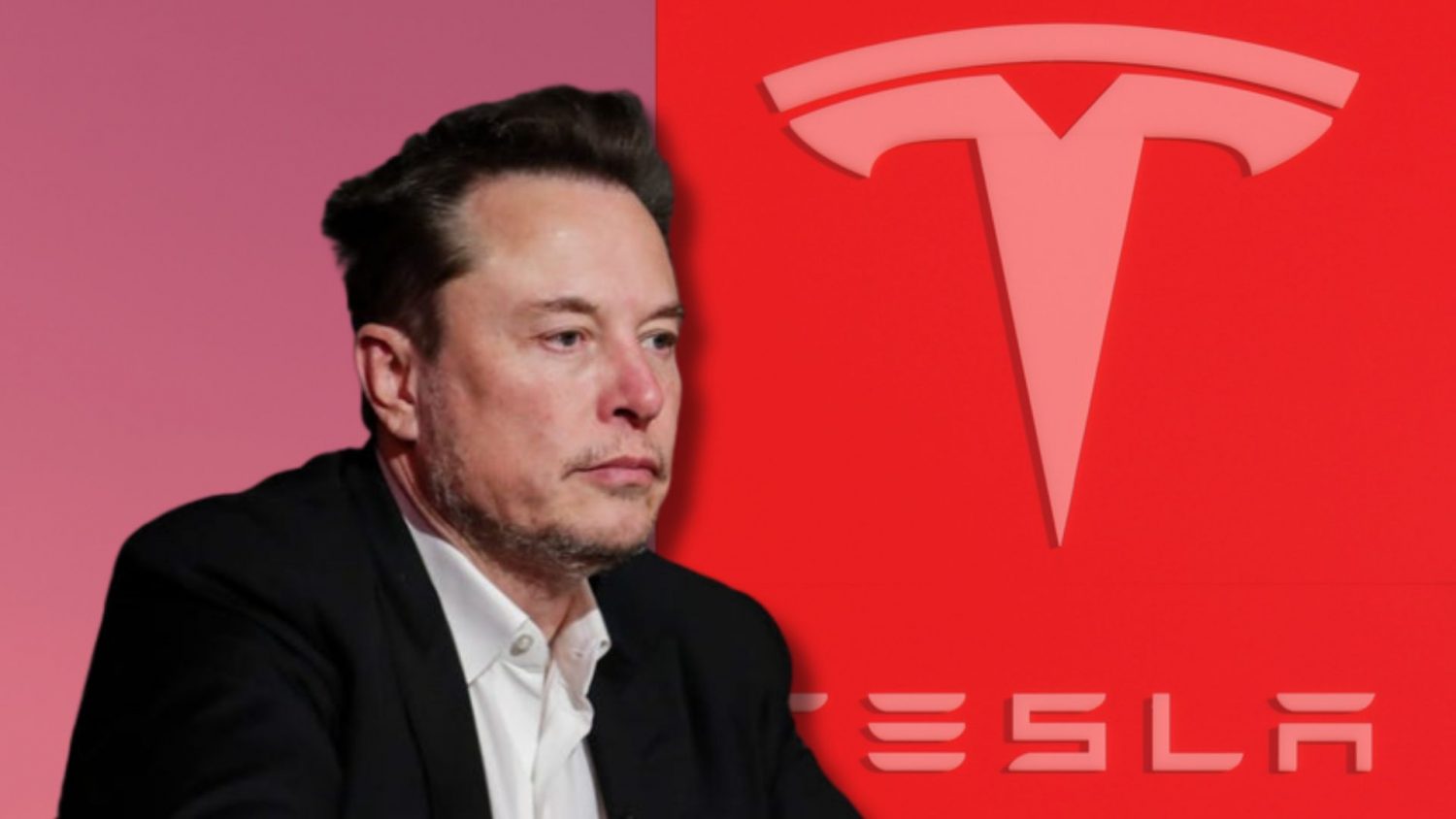 Tesla Earnings Plunge 71% In Q1: Impact Of Political Backlash Analyzed Tesla Earnings Plunge 71% In Q1: Impact Of Political Backlash Analyzed