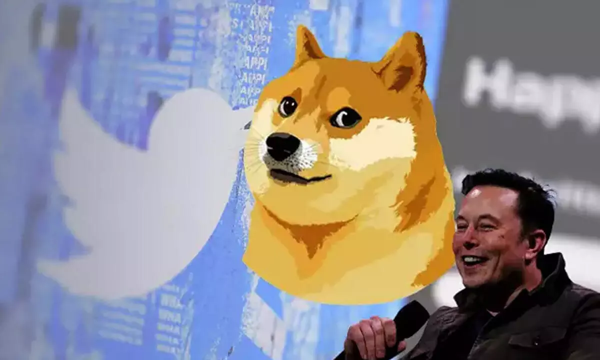 Tesla, SpaceX, And The EPA: How Elon Musk And DOGE Changed The Game Tesla, SpaceX, And The EPA: How Elon Musk And DOGE Changed The Game