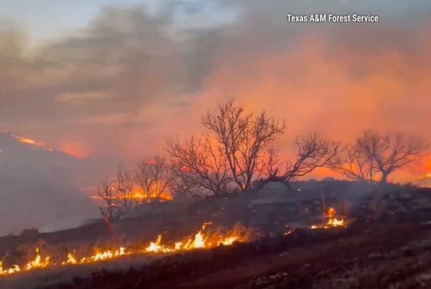 Texas Panhandle Wildfire: A Year Of Recovery And Resilience Texas Panhandle Wildfire: A Year Of Recovery And Resilience
