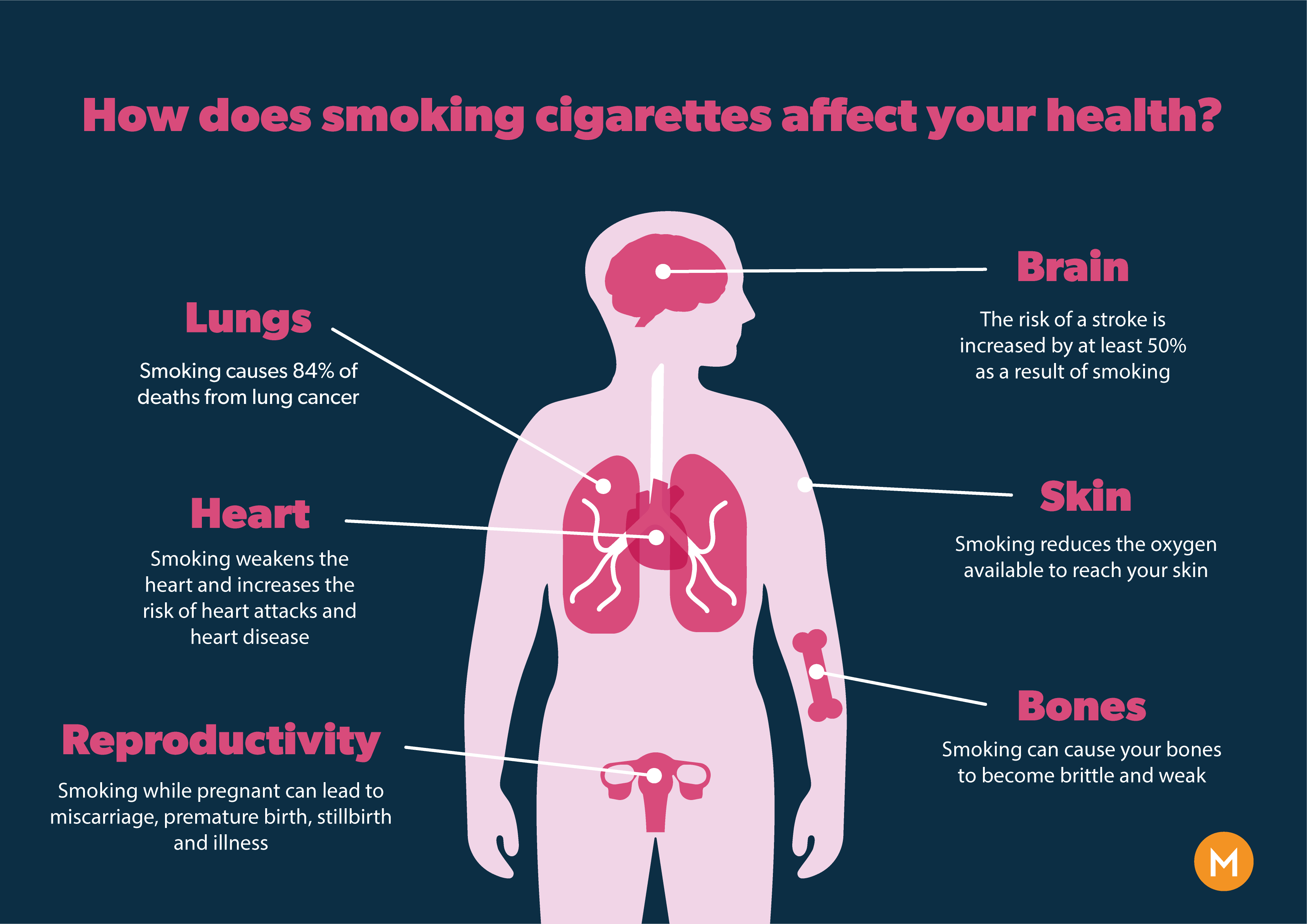 The Biggest Killer: A Doctor Exposes A Food Worse Than Smoking The Biggest Killer: A Doctor Exposes A Food Worse Than Smoking