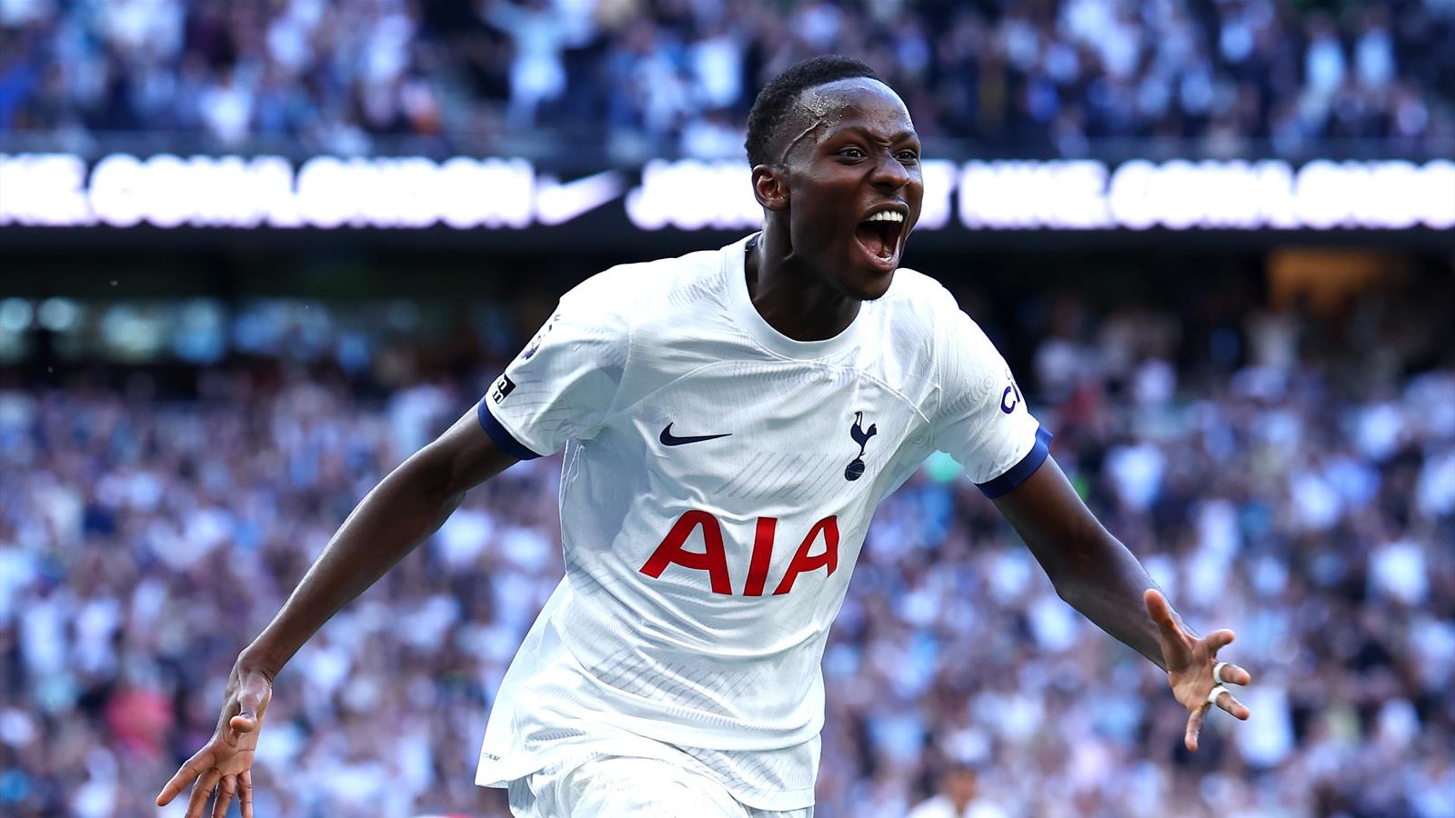 The Bruno Fernandes Transfer: How He Nearly Became A Tottenham Hotspur Player The Bruno Fernandes Transfer: How He Nearly Became A Tottenham Hotspur Player