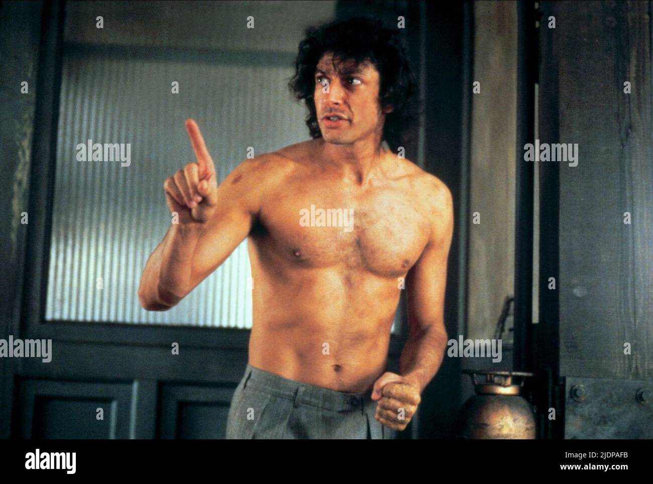 The Fly (1986): Jeff Goldblum's Performance And Its Oscar Snub The Fly (1986): Jeff Goldblum's Performance And Its Oscar Snub