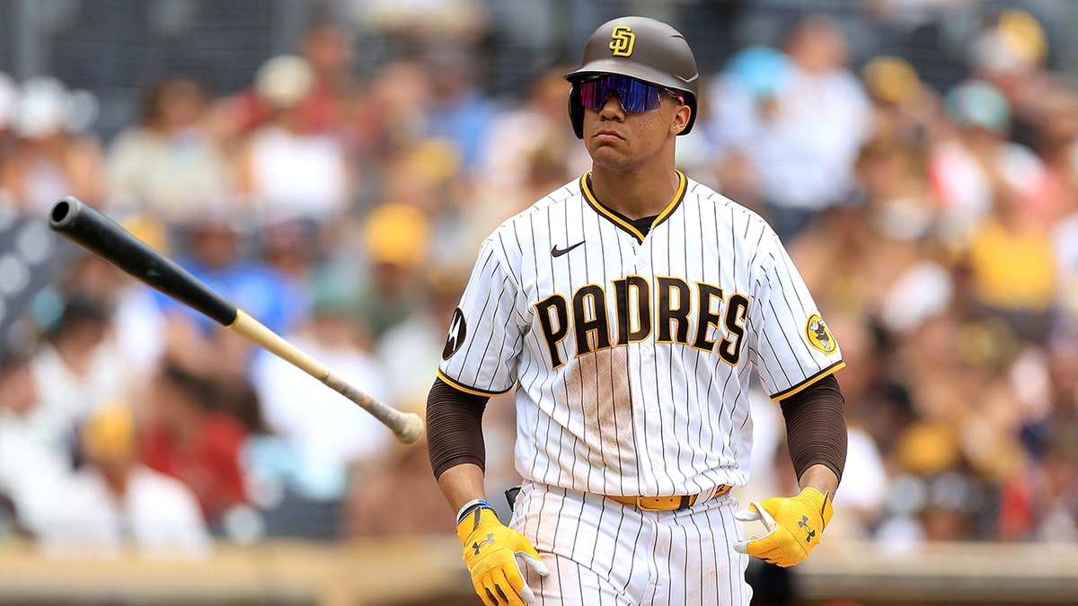 The Juan Soto-Michael Kay-Aaron Judge Connection: A Statistical Look The Juan Soto-Michael Kay-Aaron Judge Connection: A Statistical Look